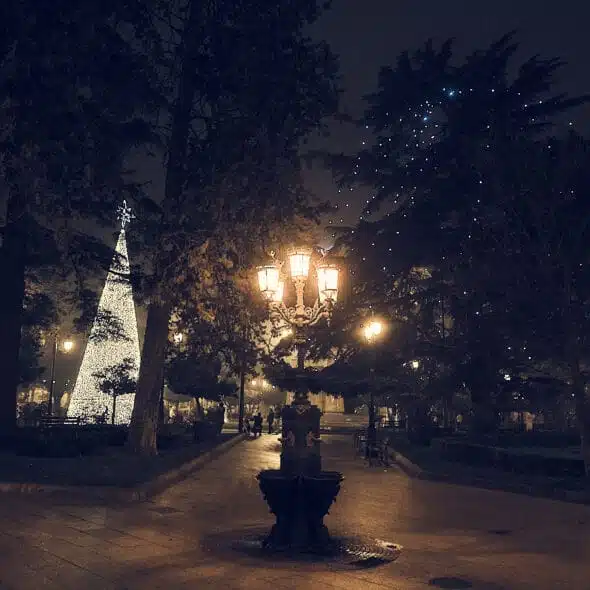 Navidad-En-Logroño-Holiwopp 29