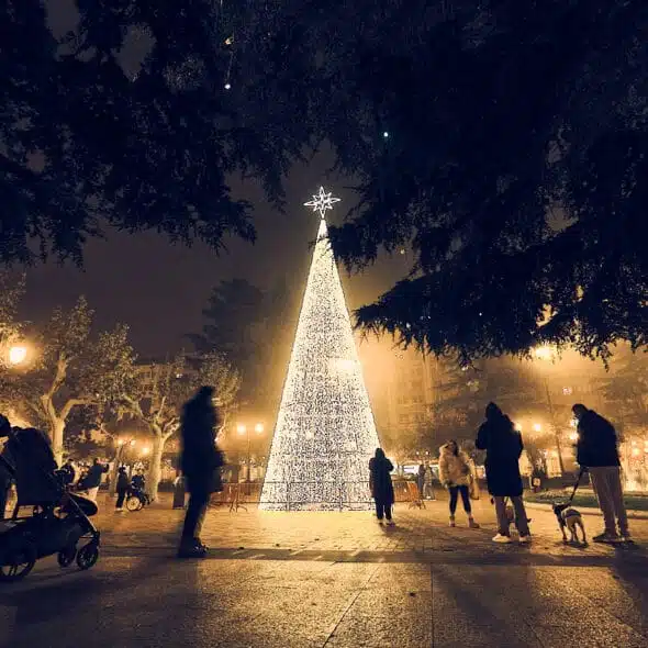 Fotografia De Un Arbol De Navidad En Logroño