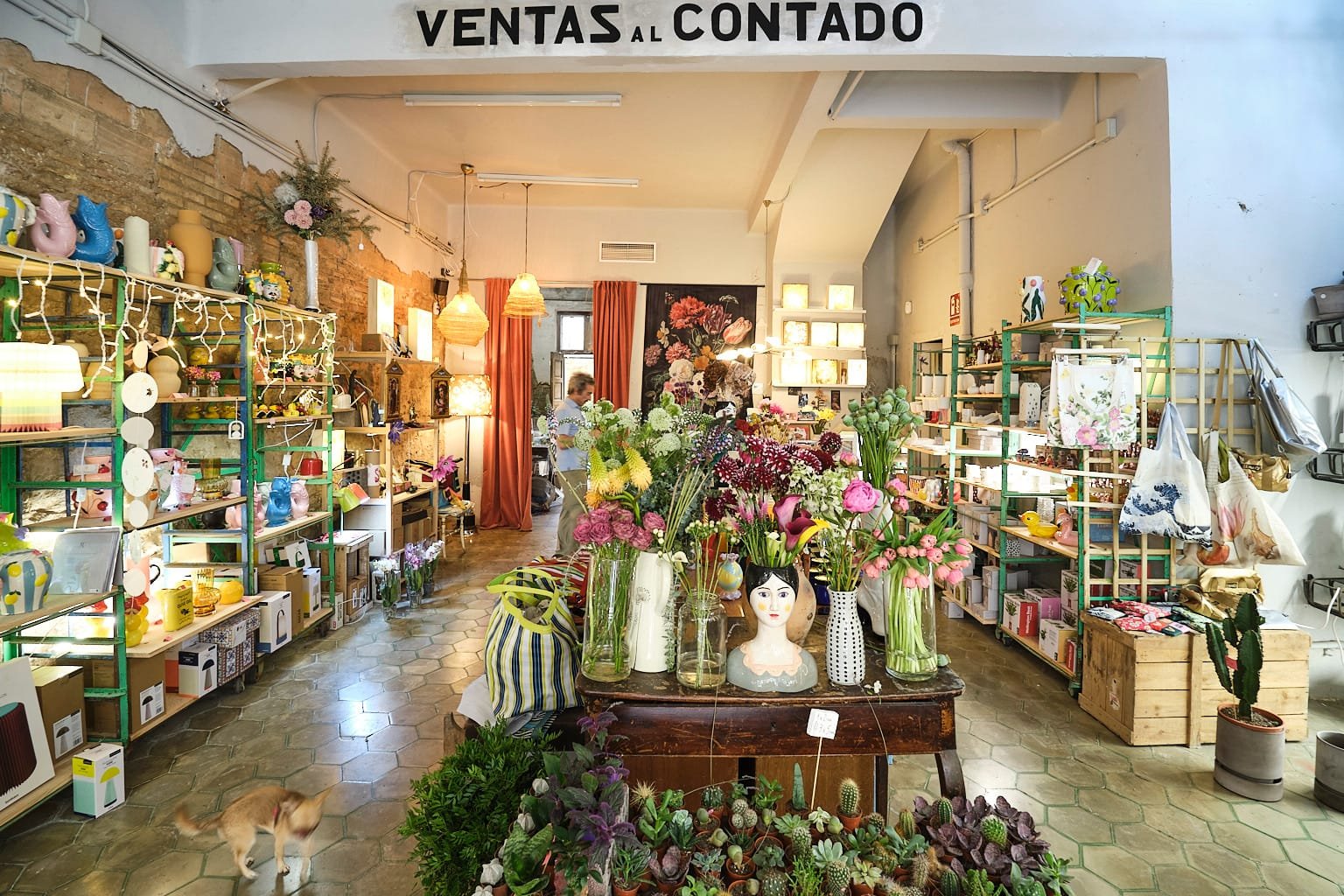 Interior De La Tienda Del Gardenia En Logroño