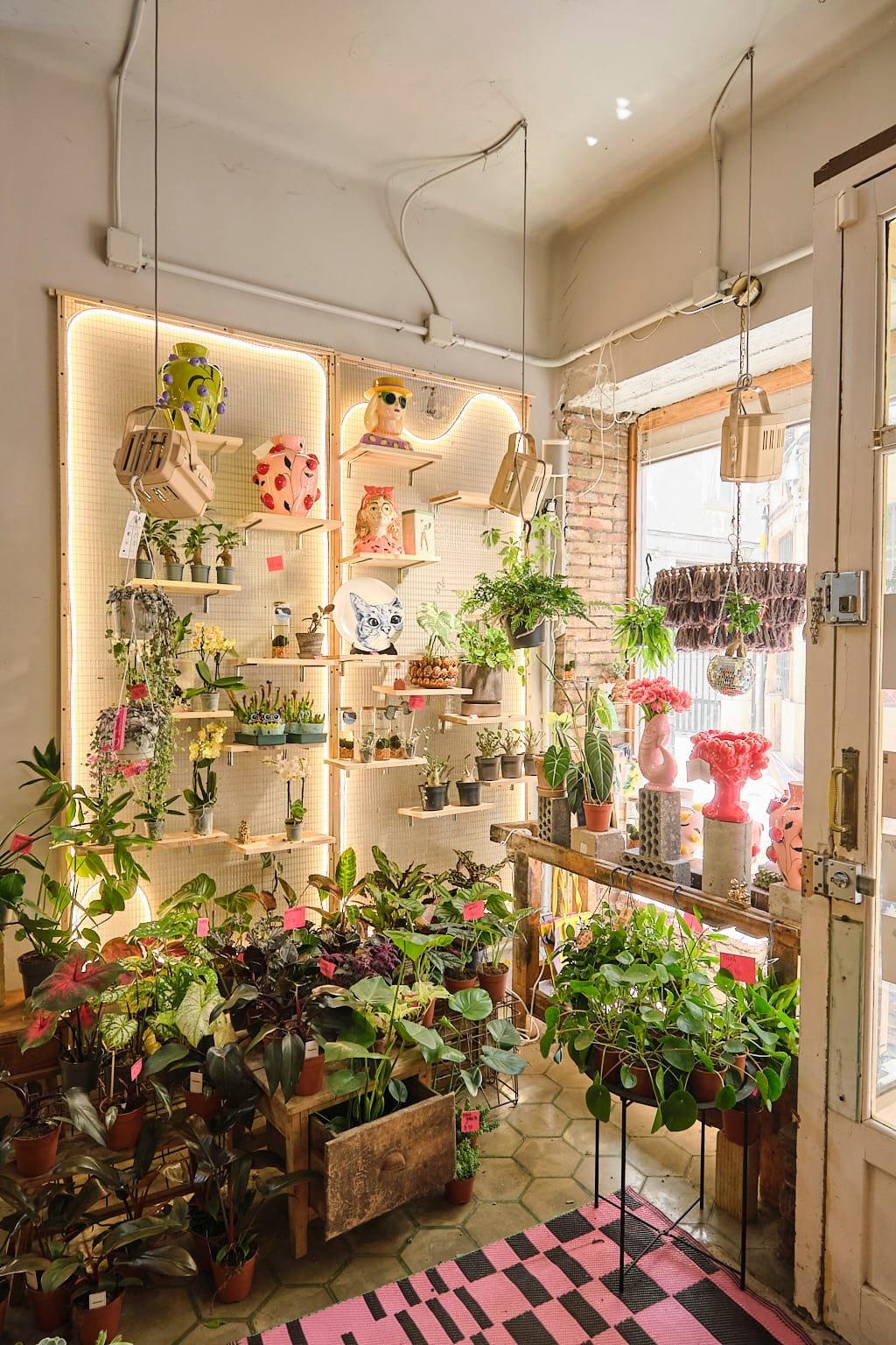 Rincón Con Artículos De Decoración En Una Tienda Local Del Centro De Logroño