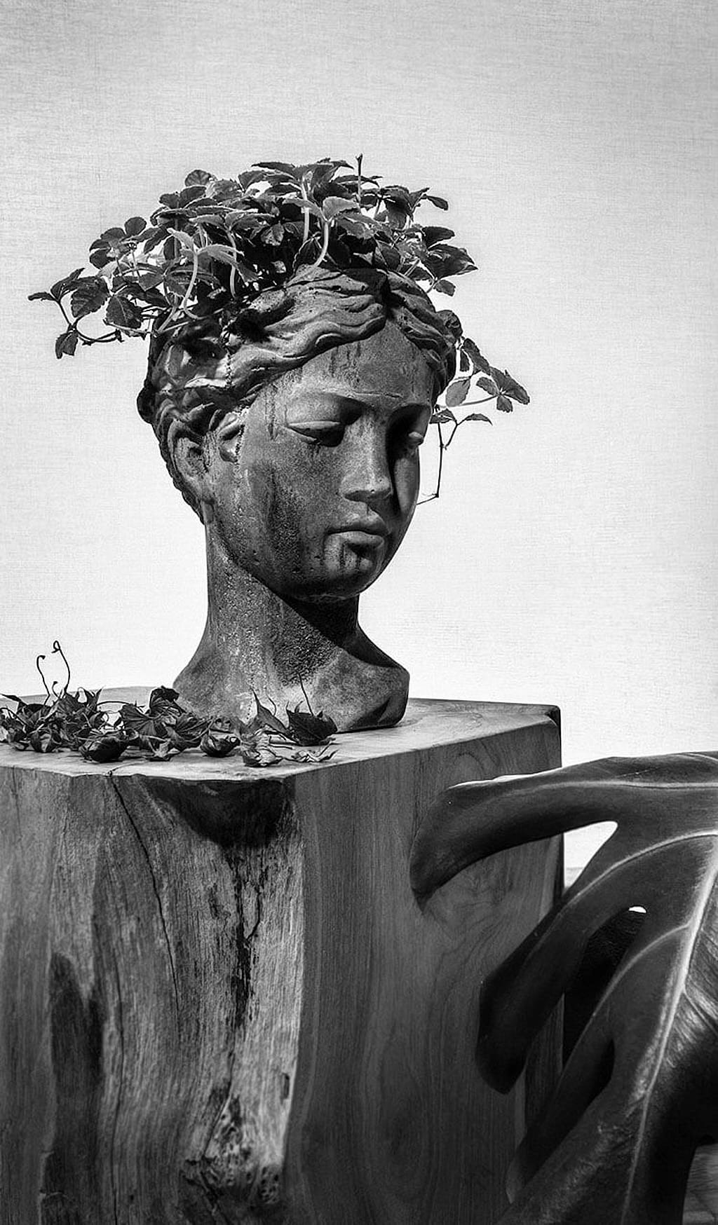 Cabeza De Hormigón De Busto  De El Gardenista En Logroño, Un Espacio Creativo Donde Conviven Diseño Floral, Decoración Y Esencia Brutalista.