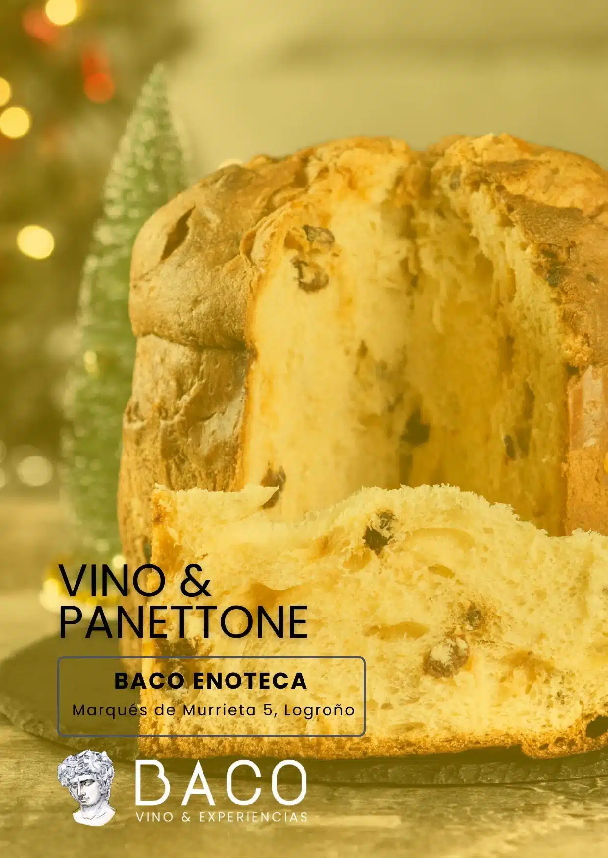 Vinoteca Baco En Logroño: Catas De Vino Y Experiencias Enológicas Cabeza De Hormigón De Busto De El Gardenista En Logroño, Un Espacio Creativo Donde Conviven Diseño Floral, Decoración Y Esencia Brutalista.